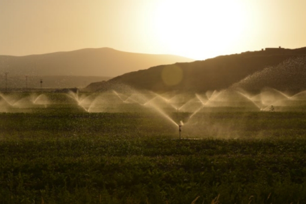 Application of waterproof wire connector in farmland sprinkler irrigation system